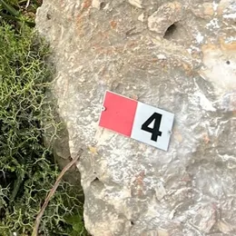 Trail markers
